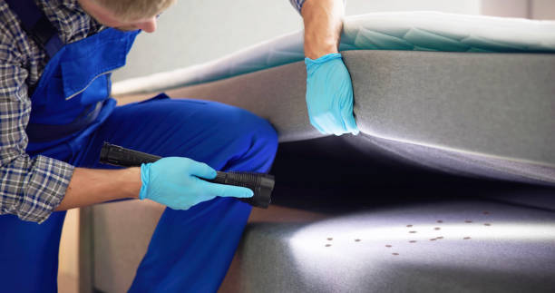 Best Best Pest Control Companies  in Locust Grove, OK